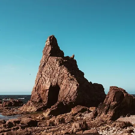 El Gato Gordo - Bike & Surf House 쿠딜레로