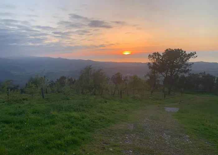 El Gato Gordo - Riders