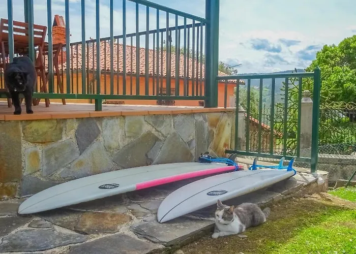 El Gato Gordo - Bike & Surf House Hostel *