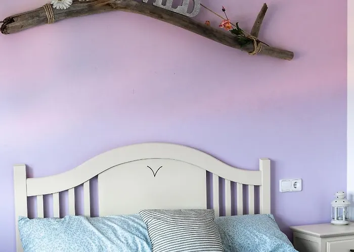 Auberge de jeunesse El Gato Gordo - Bike & Surf House *