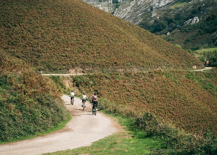 El Gato Gordo - Bike & Surf House * Cudillero